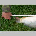 Popelov 17.9.2008 -16.JPG